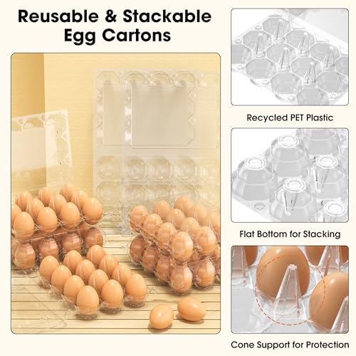 80 Pack Egg Cartons Cheap Bulk (80 Count)