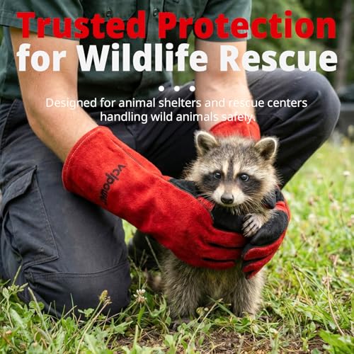 Animal handling Gloves 16