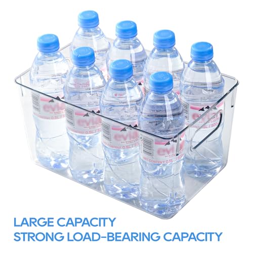 Clear Plastic Storage Bins (4 Count)
