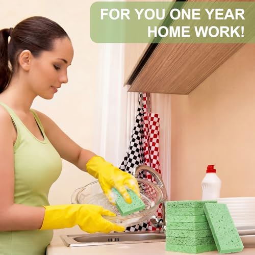 48 Pieces Compressed Wood Pulp Dish Sponges for Kitchen (48 Count)