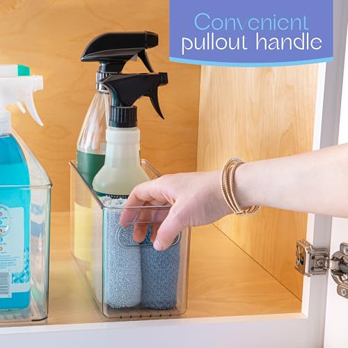 Plastic Food Storage 4 Pack Clear Container Bin with Handles for Organizing Kitchen (4 Count)