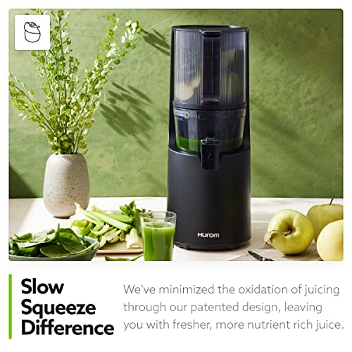 H 200 Electronic Slow Juicer Machine