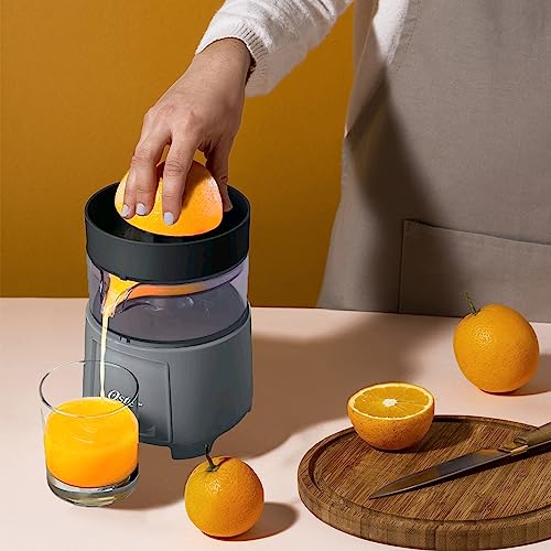 Electric Citrus Juicer