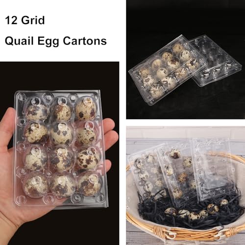 200 Pack Quail Egg Cartons (200 Count)