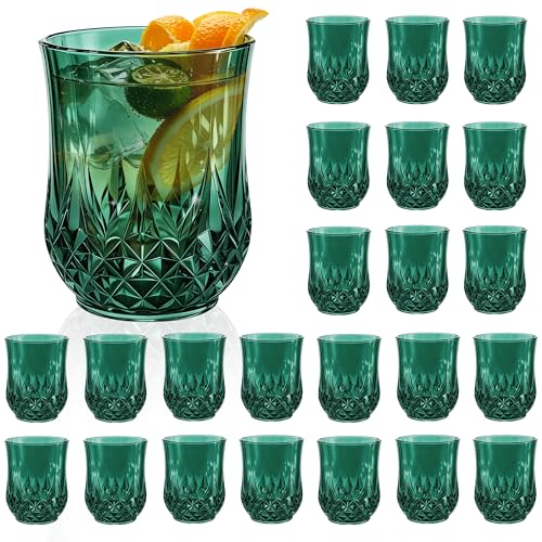 24 Pack Plastic Stemless Wine Glasses (24 Count)