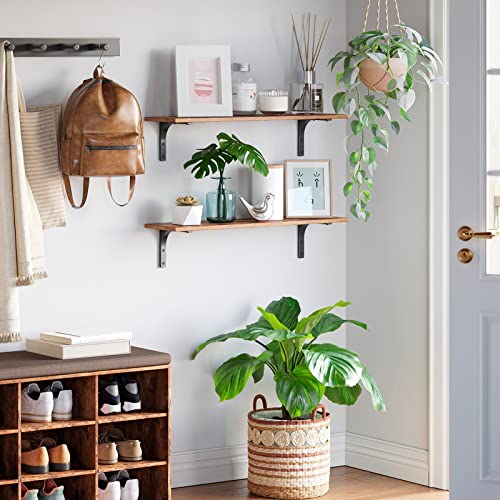 Long Wall Shelves (2 Count)