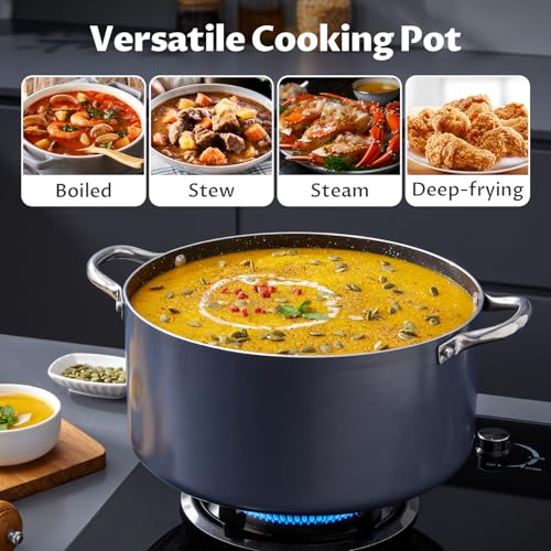 8 Quart Nonstick Stock Pot with Lid