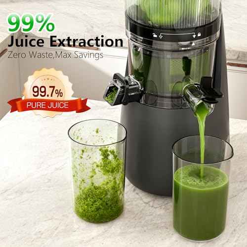 Cold Press Juicer