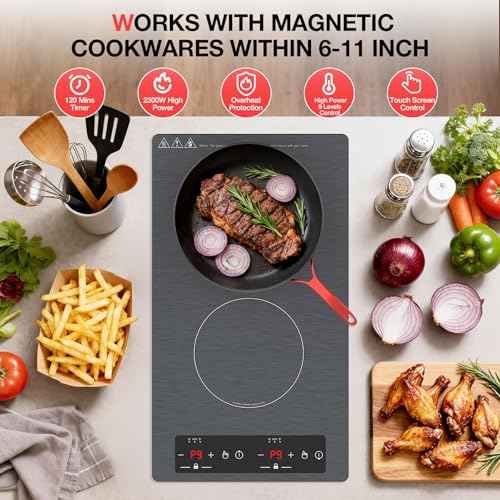 Double Induction Cooktop 110v
