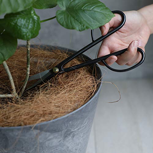 Twig Bonsai Scissors Made in Japan 210mm