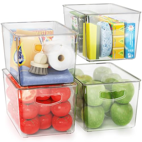 Large Clear Storage Bins with Lids (4 Count)