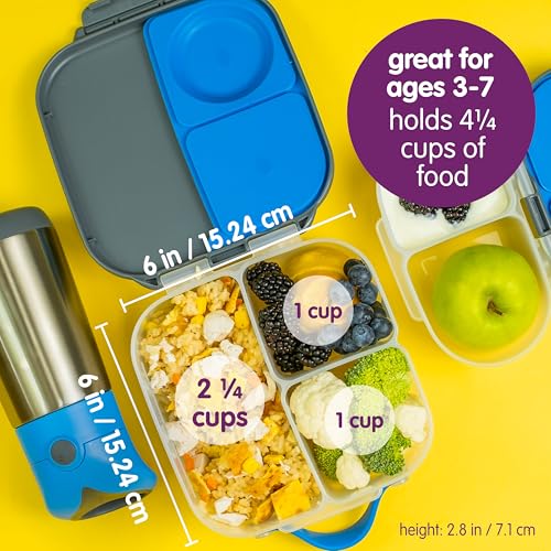 Mini Lunch Box