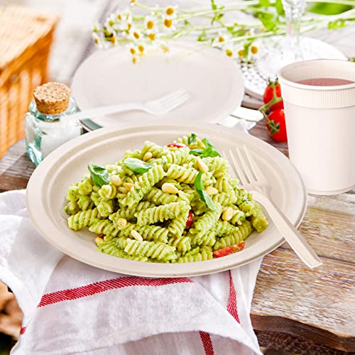 Compostable Paper Plates Napkins Set 250pcs Disposable Plates