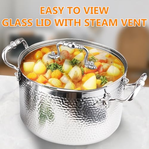 Stainless Steel Stock Pot with Visible Lid for Pasta