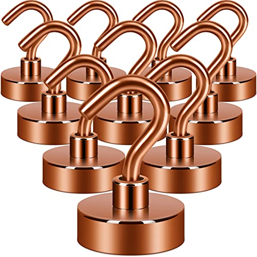 Magnetic Hooks (10 Count)