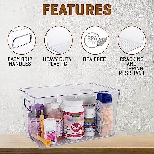 Clear Plastic Storage Bins (4 Count)