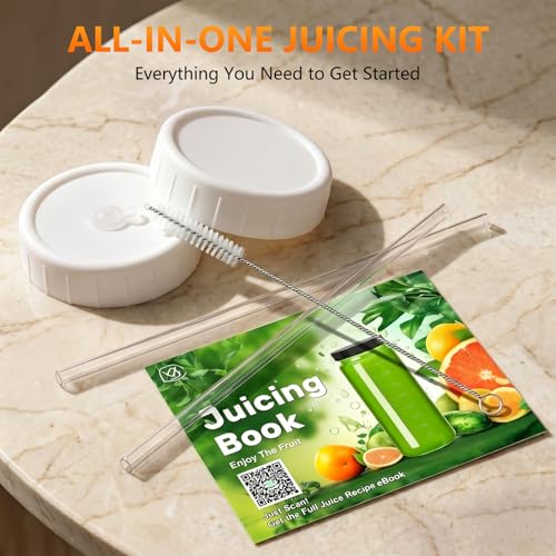 Glass Juice Bottles (10 Count)