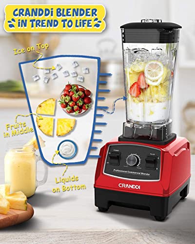 Professional Blender