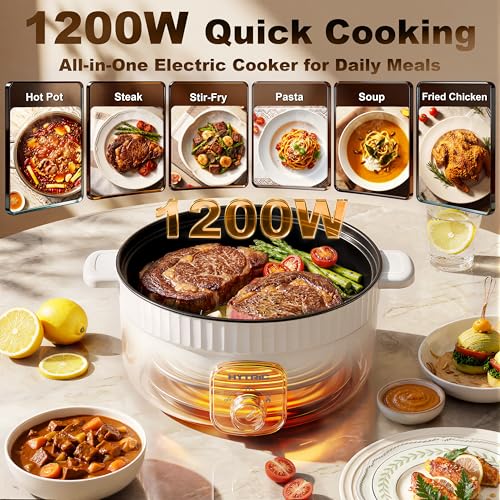 4.5L Electric Pot