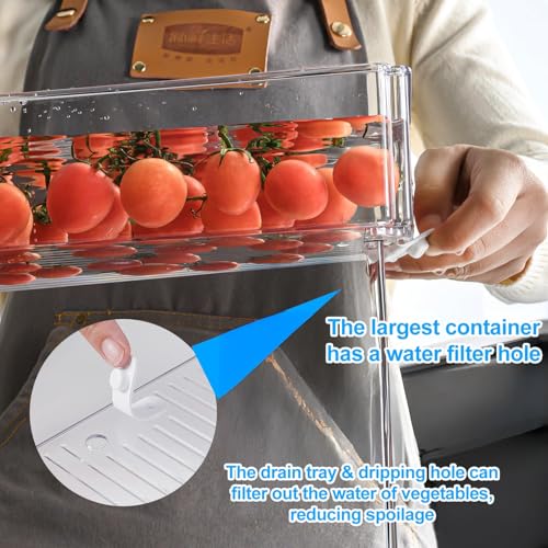 10 Pack Food Storage Organizer Bins (10 Count)