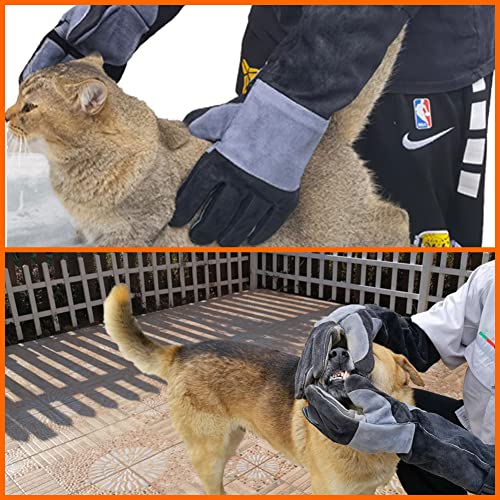 23.6 In Gloves for Animal Handling