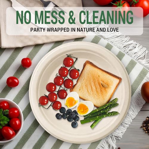 Compostable Paper Plates (50 Count)