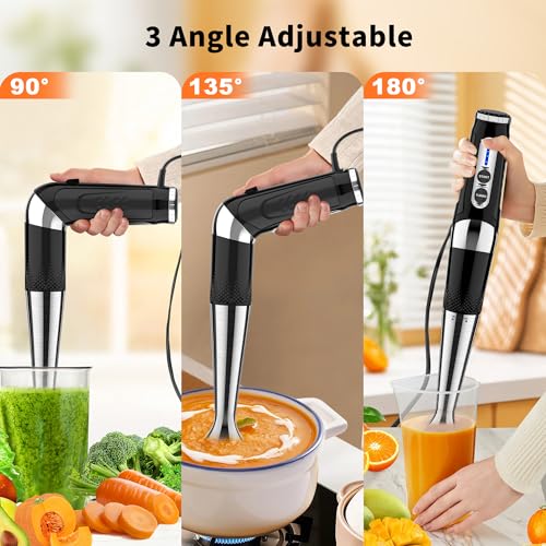 Immersion Blender Handheld