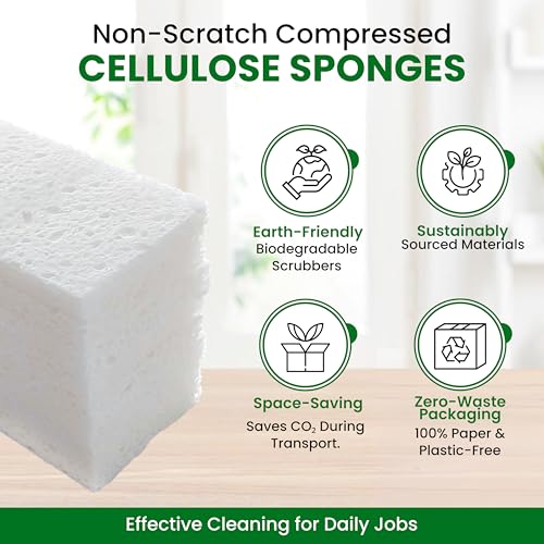 Cellulose Sponges (24 Count)