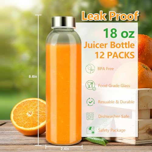 18 oz Glass Water Bottles with Stainless Steel Lids (12 Count)