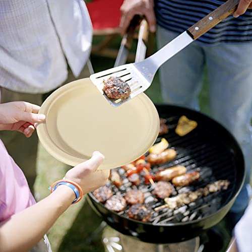 Compostable 9 Inch Paper Plates (150 Count)