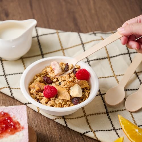 300 Count Compostable Wooden Disposable Spoons for Party