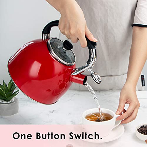 Whistling Tea Kettle for Stove Top