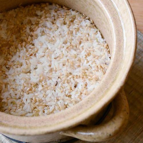 Japanese Donabe Cocer Rice Cooking Pot (3 Count)