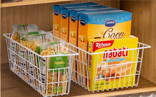 Wire Storage Baskets (2 Count)