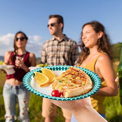 Paper Plates Disposable (360 Count)