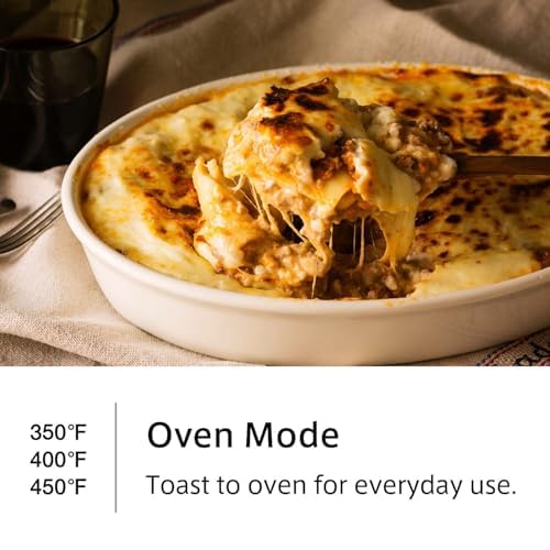 The Toaster Steam Oven Toaster