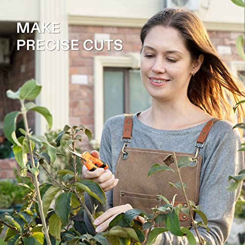 6.5 Inch Garden Scissors (12 Count)