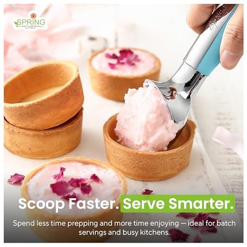 Heavy Duty Metal Ice Cream Scoop w