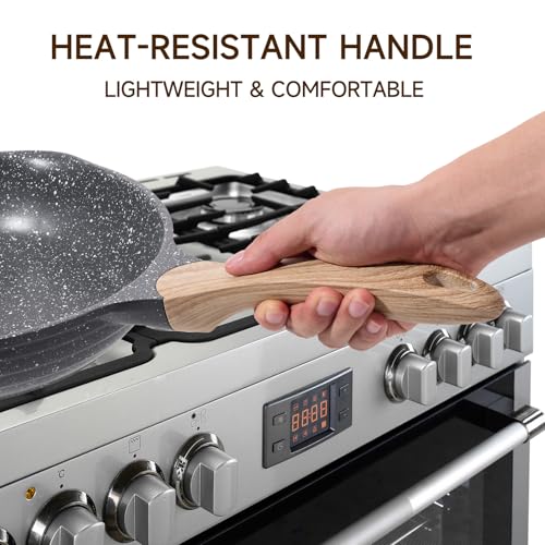 8 & 10 Inch Nonstick Frying Pan Sets for Cooking Dual Spouts Skillet (2 Count)