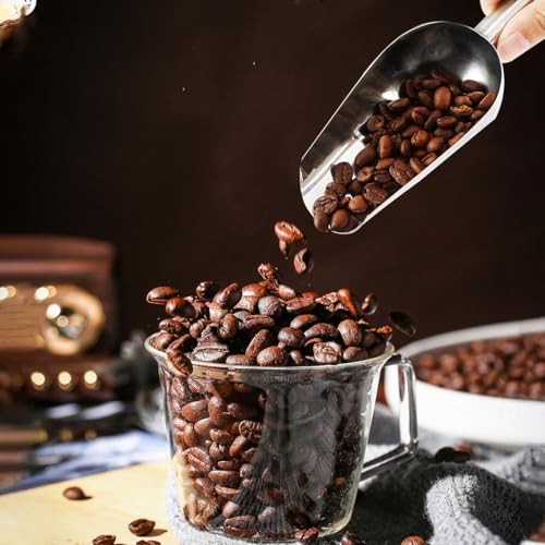 Metal Ice Scoop