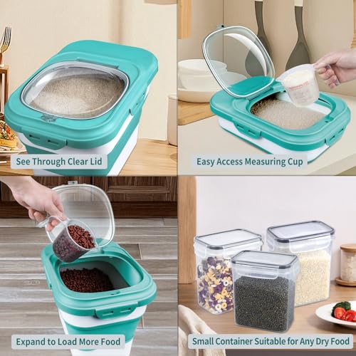 Rice Storage Container