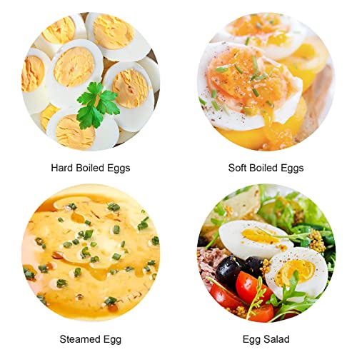 Electric Egg Cooker