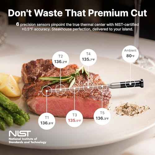 Sync Gold Dual Wireless WiFi Meat Thermometer with Carrying Case (2 Count)