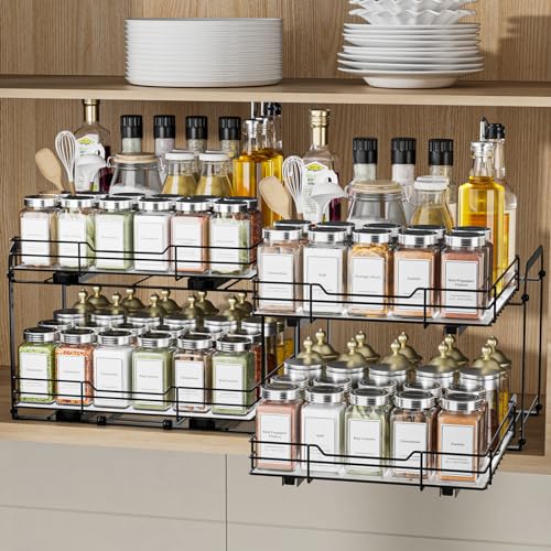 2 Tier Spice Rack Organizer