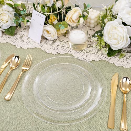60PCS Clear Plastic Plates (30 Count)