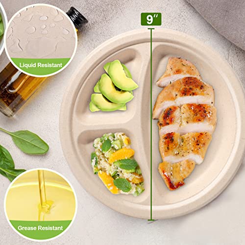9 Inch Compartment Paper Plates (50 Count)