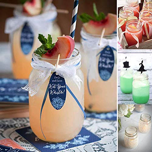 20 Pack Mason Jars (20 Count)