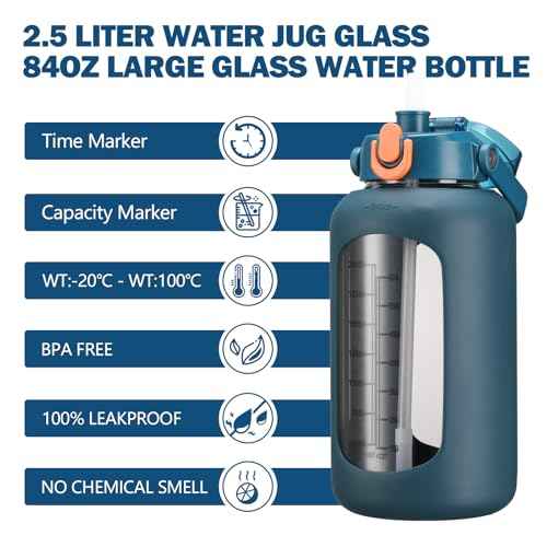 84oz Glass Water Bottle with Straw
