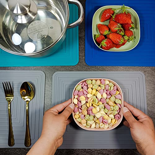 Silicone Trivets Mats Set for Dishes (2 Count)
