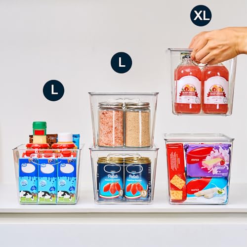 Large Clear Storage Bins with Lids (4 Count)